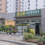 큰나무공인중개사사무소