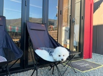 몽썸