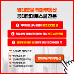 백마공인중개사사무소