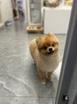유독이쁨