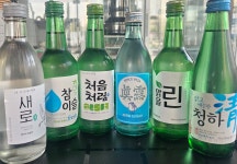 친친꽃삼