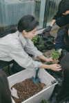 누즈플라워
