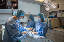 여기로양한방동물병원