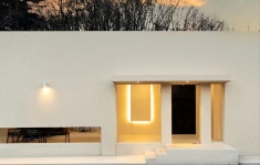 백꽃사랑하이빛