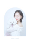 화명동 애견미용 강아지유치원 하이그룸
