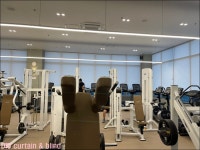 디오 커튼블라인드