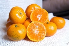 꽃씨네농수산물