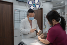 여기로양한방동물병원