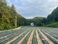 강릉 털보네 농장