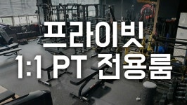 스타휘트니스