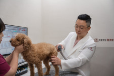 여기로양한방동물병원