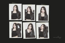 아날로그 대전점