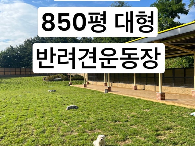 런앤모어