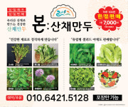 본산채만두