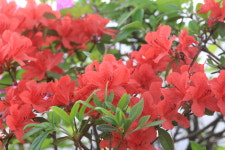 변미숙공인중개사사무소