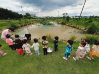 여우비연꽃농원&팜스테이