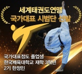 국가대표정도태권도장