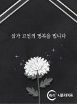시휴라이프