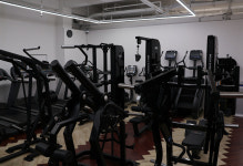 베리타스 피트니스 화서점