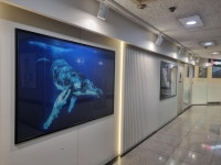 상동사랑이가득한치과의원