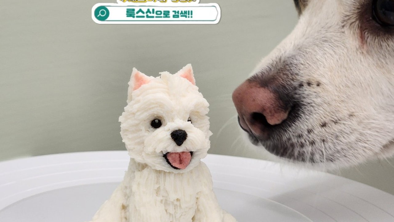 룩스네