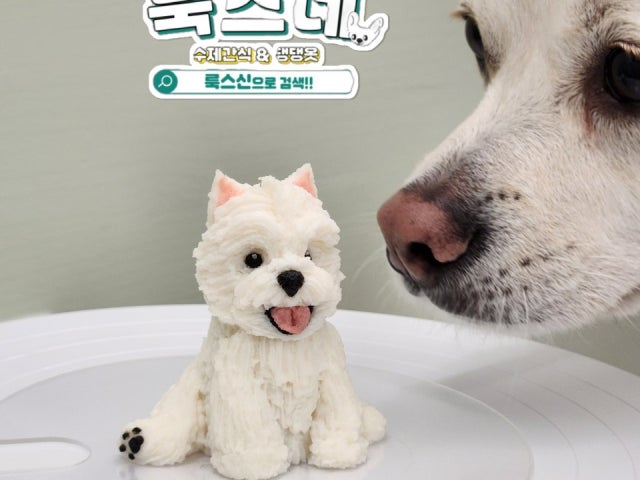 룩스네