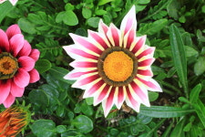 변미숙공인중개사사무소