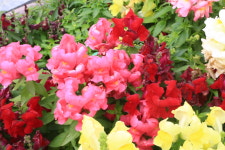 변미숙공인중개사사무소