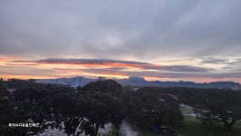 골드버즈&투어수다