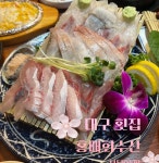 홍매회수산