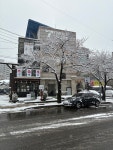 우백탄 수원 파장점