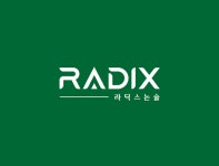 라딕스논술