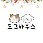 김해 강아지분양 고양이분양 도그하우스 대성점