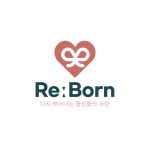 싱글리본돌싱리본