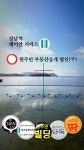 원주민부동산중개법인