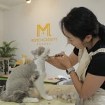 모모아카데미 고양이미용 교육센터