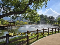 에듀파크우리동네부동산공인중개사사무소