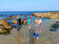 기성펜션 더데이