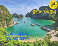 골드버즈&투어수다