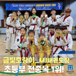 MJ태권도