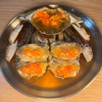 홍와대