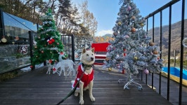 계룡산마루펜션