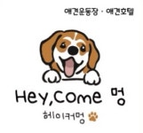 헤이커멍 애견호텔 애견운동장&놀이방
