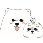 핫독
