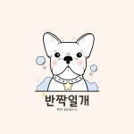 반짝일개