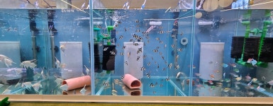 엔젤아쿠아펫가든 & 카페,만월경 군산수송점