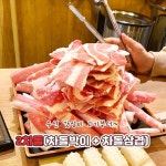 이차돌 신설동점