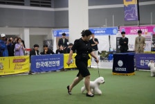 보람그루밍