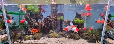 엔젤아쿠아펫가든 & 카페,만월경 군산수송점