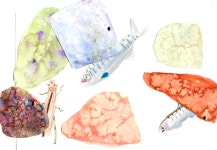 밍글맹글 미술학원